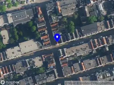 Sardini? in Hart Amsterdam