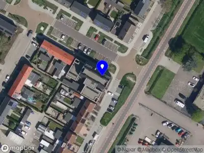 Albert en Marian Maas