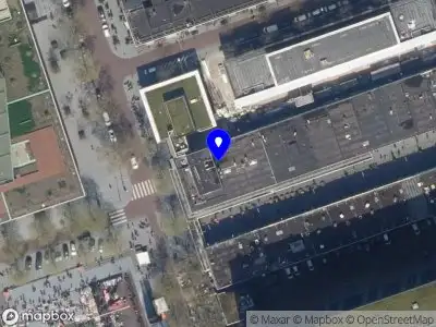 St. International Film Festival Rotterdam