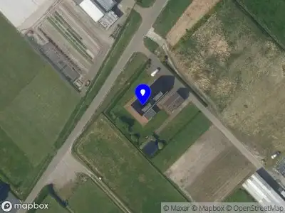 Stanley Flowers Noordwijk