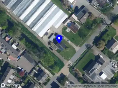 Marc Bart Orchideeën