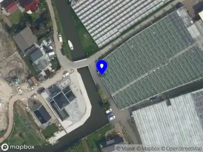 Topplants by Rick Damen