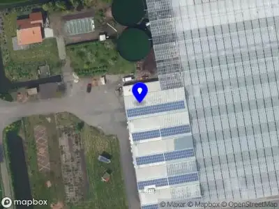 Hans van der Meer Potplanten