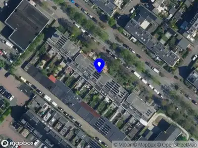 Dragon Flora International B.V.