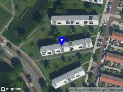 Cheung's Timmerwerken