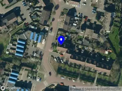 Animal Wildlife Creations