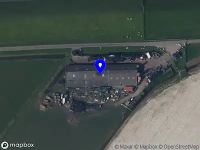 Jeroen Kuilboer Schapenhouderij Peazens
