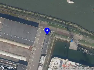 Nieuw bedrijf Reynard Bargmann