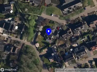 Tapijtreiniger Service B.V.