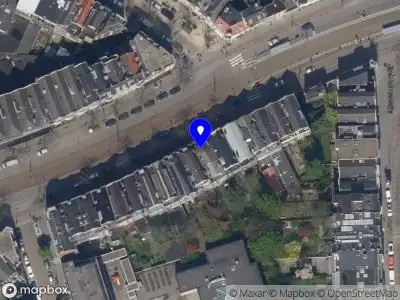 Vlinder Woondecoratie Rotterdam