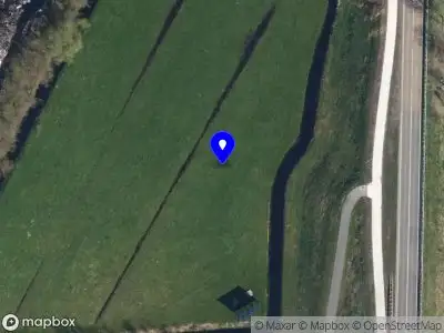 Hazelhoff Raamdecoratie