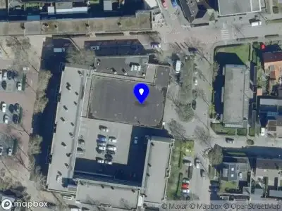 Van Stekelenburg Bloemen & Planten