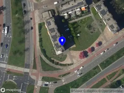 Bloemsierkunst de Roosjes