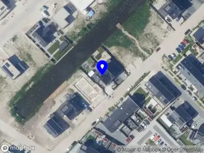 Allium, bloem en decoratie