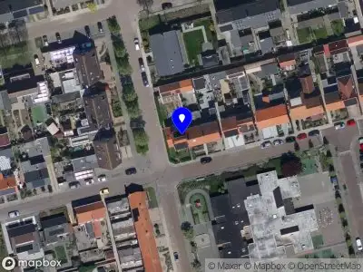 Liefies haarspeldjes