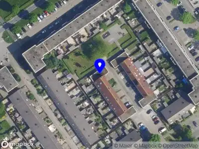 Mineralen en Fossielen