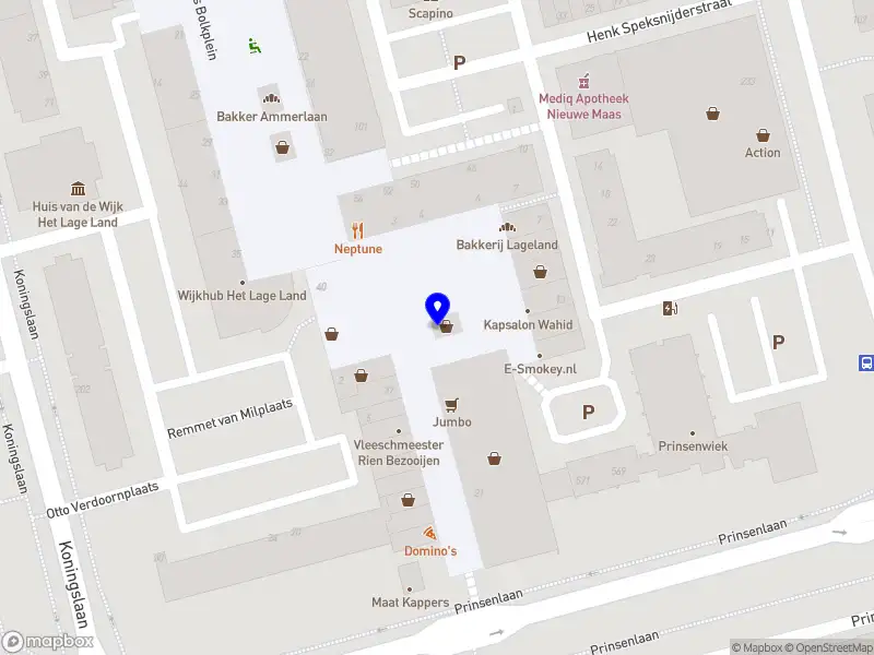 Chinees Indisch Restaurant 