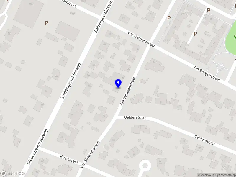 Olieslagers Holding B.V.