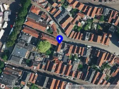 Nieuw bedrijf Nicolette Biesters