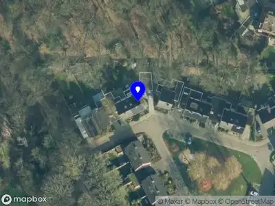 Nieuw bedrijf Steenbergen Management Consultants