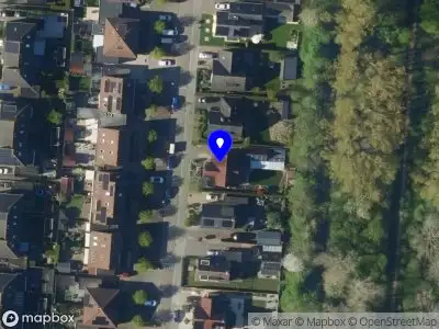 Frank Kok Muziek in Advies