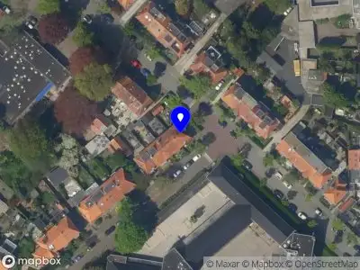 Schilderij van Leeuwen Hilversum