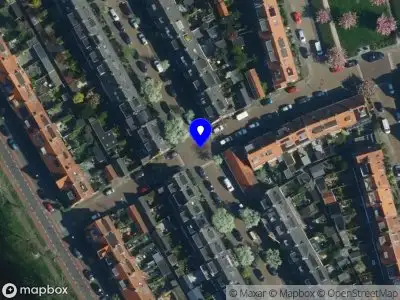 Evelien van der Zaken - Art