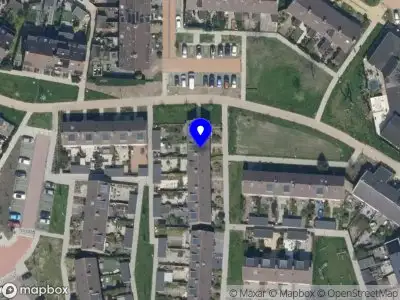 De Vitaliteits Dolfijn