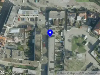 De Bont Kunstschilder