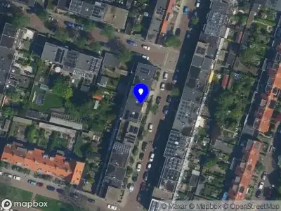 Simone de Groot beeldend kunstenaar Haarlem