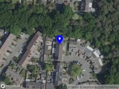 Bos Organisatie Helmond