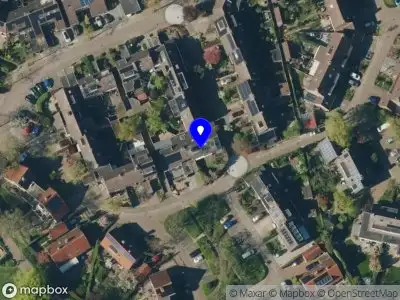 Stichting De hond kan de was doen