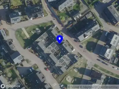 Noëlle Koppers Beeldend Kunstenaar