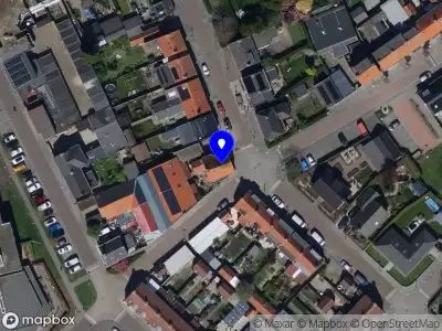 International Project Services