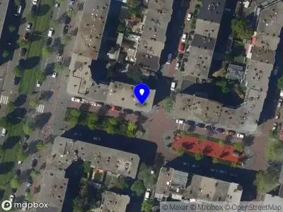 Nieuw bedrijf Nikki Steigenga