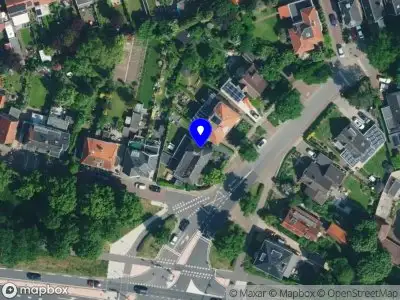 Beautiful Plants Holland B.V.