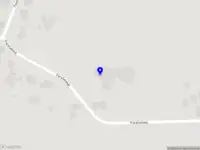 Ellen Deelen natuurlijke bloem-creaties