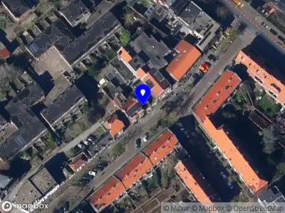 Nieuw bedrijf Cindy Timmer Illustration