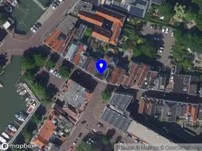 Magnolia Dent Dordrecht