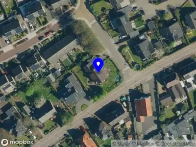 Ingefleur Spreij Homeopaat