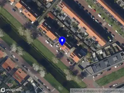 The Blue Flamingo 's-Gravenhage