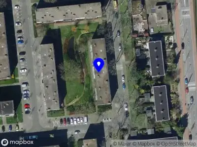 Yil advies en coaching