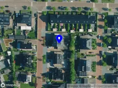 Nicolien van de Belt