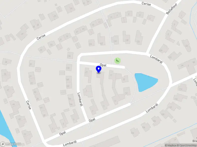 Richard van Schaik (Executive) coach en teamcoach