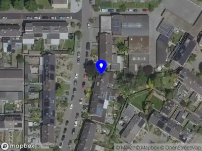 Catching Rabbits C.V.