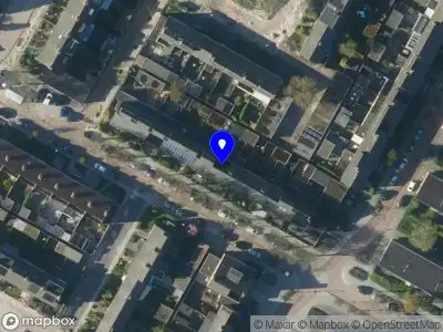 Multiservice Michelle