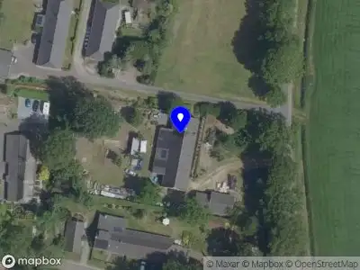 Doodgewoon Taxidermie