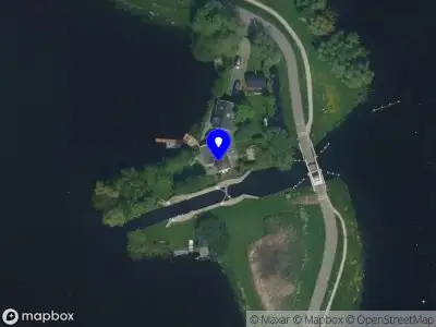 The Backbone Collective