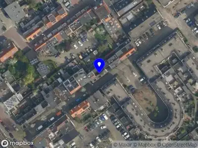 Rescued & Loved Delft
