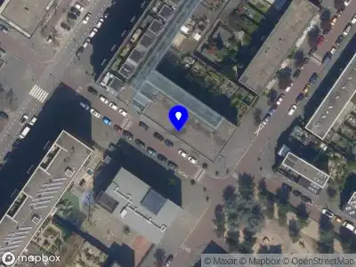 Lotus waarneming Rotterdam